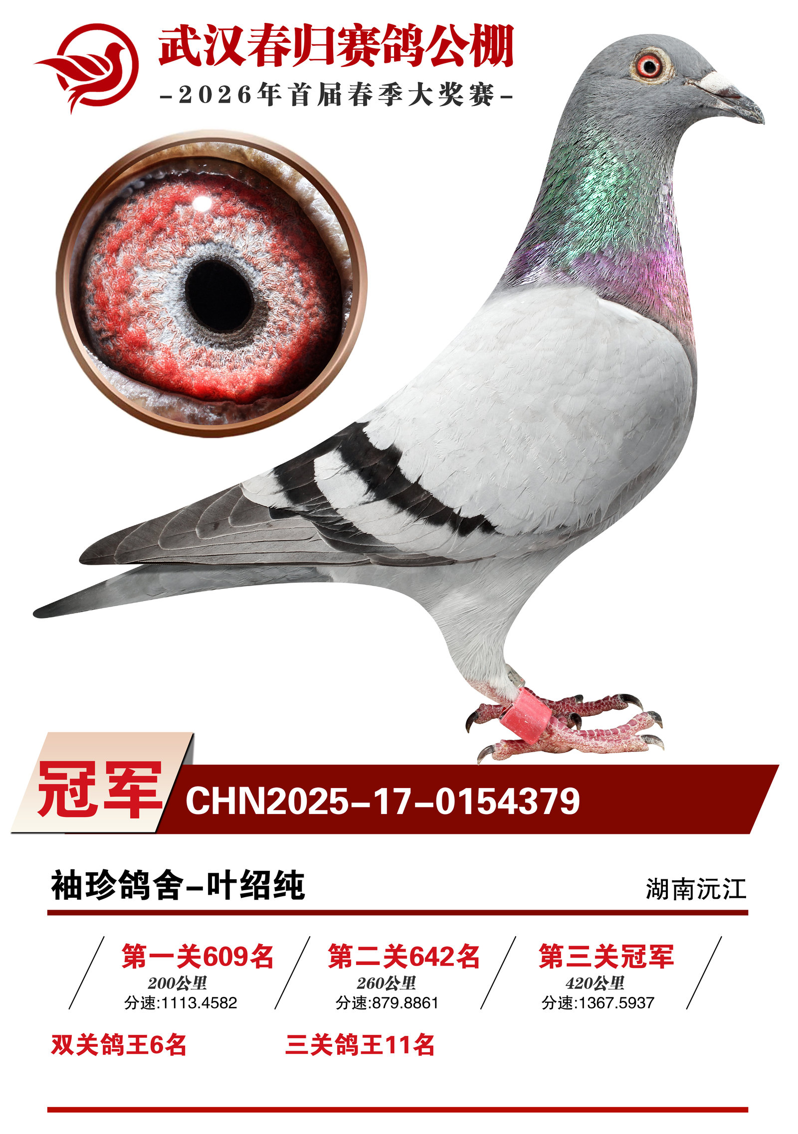 武汉春归赛鸽公棚 2026年首届春季大奖赛